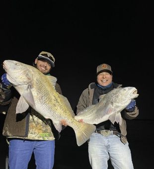 Black Drum Rush: Galveston Fishing Thrills!